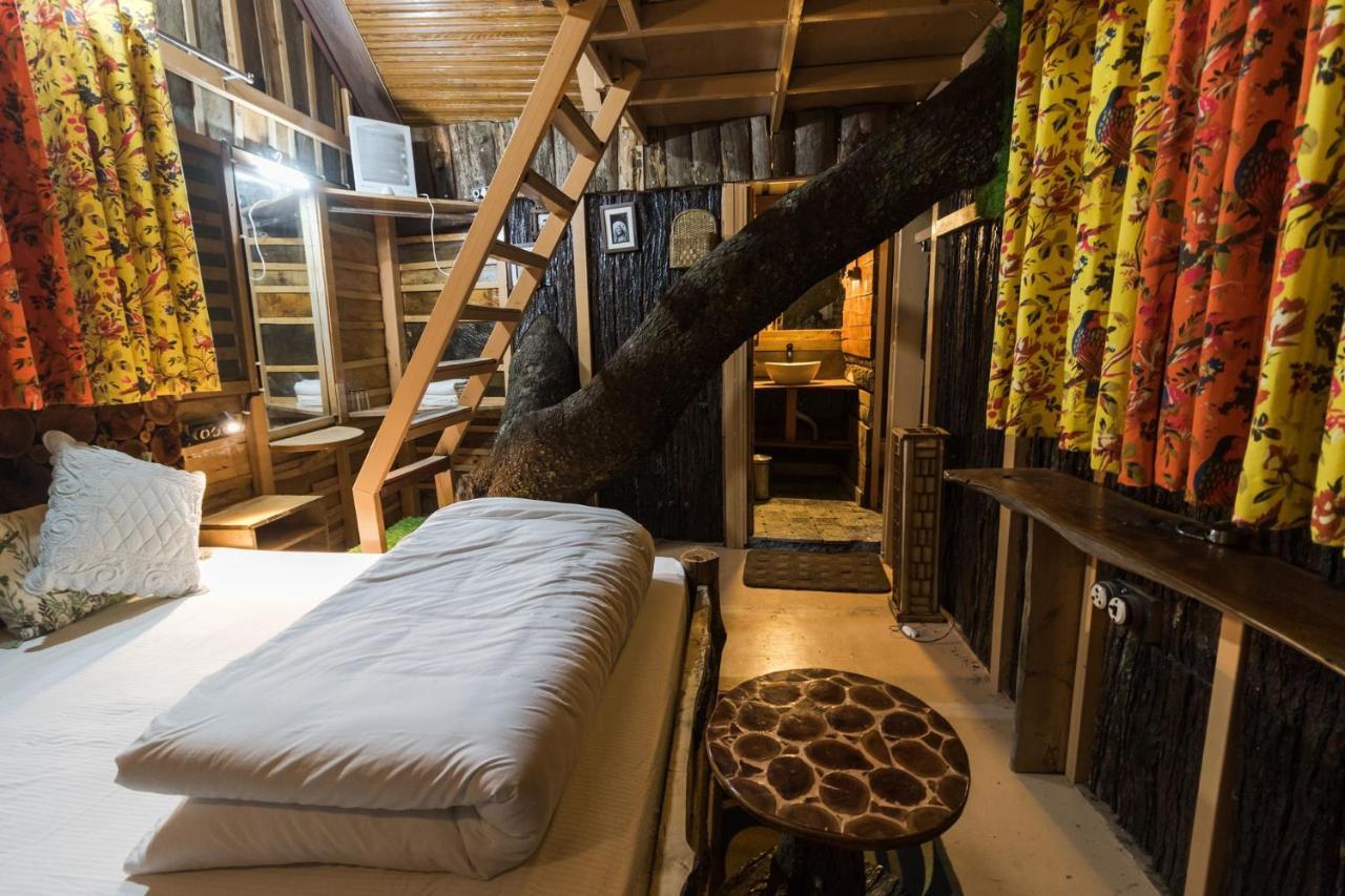 Tiger Fall Eco Resort Chakrata Bagian luar foto